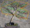 acero Greenray.jpg acero Greenray.jpg