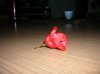 DSCN5932.jpg