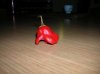 DSCN5931.jpg