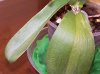 100_2703.jpg