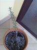 16122010045.jpg