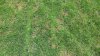 20140517_121009.jpg