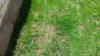 20140517_121123.jpg