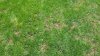 20140517_121129.jpg