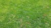 20140517_121155.jpg