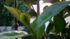 100_1647.jpg
