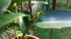 100_1648.jpg