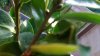 100_1649.jpg