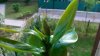100_1650.jpg