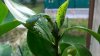 100_1651.jpg