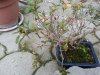 rps20140524_214845.jpg