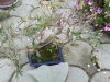 rps20140524_214922.jpg
