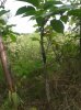20140525_114826.jpg