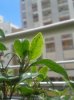 2014-05-27 14.23.27.jpg