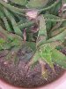 20140528_115757.jpg