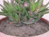 20140528_115921.jpg