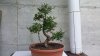 20140530_102338.jpg