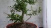 20140530_102314.jpg