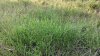 20140607_184853.jpg