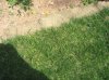 IMG_0549.jpg