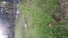 20140616_192457.jpg