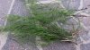 20140616_192529.jpg