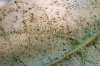 DSCF5036.jpg DSCF5036.jpg