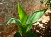 DSCN5386.jpg
