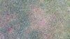 20140623_083933.jpg