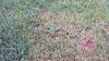 20140623_083940.jpg