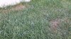 20140623_083955.jpg