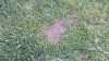 20140623_084002.jpg