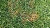 20140623_084018.jpg
