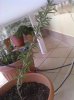 27122010133.jpg