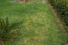 DSC_0791.jpg