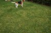 DSC_0784.jpg
