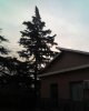 04-01-11_0957.jpg 04-01-11_0957.jpg