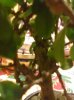 04012011008.jpg