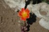 DSC_1185 2.jpg