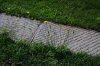 _N7K38678.jpg