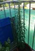 20140713_124933.jpg