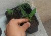 100_2115.jpg