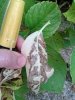 20140721_072857.jpg