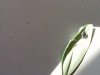 IMG_20140808_115411.jpg