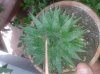 20140813_160326.jpg