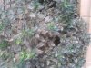20140828_074451.jpg 20140828_074451.jpg