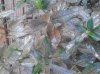 20140828_074501.jpg 20140828_074501.jpg