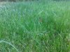 20140828_073414.jpg 20140828_073414.jpg