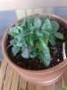 20140830_085424.jpg