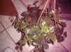 DSC00363.jpg